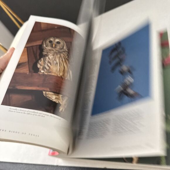 The Birds of Texas By John L Tveten - Picture 3 of 6